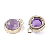 Natural Amethyst Pendants G-K372-03G-02-2