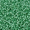 MIYUKI Delica Beads SEED-J020-DB2188-3