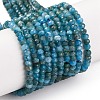 Natural Apatite Beads Strands G-F770-D09-02B-2