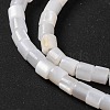 Natural Freshwater Shell Beads Strands BSHE-S304-08-3