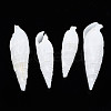 Natural Trochid Shell/Trochus Shell Beads SSHEL-N034-116-3