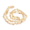 Natural Citrine Chips Beads X-F091-3