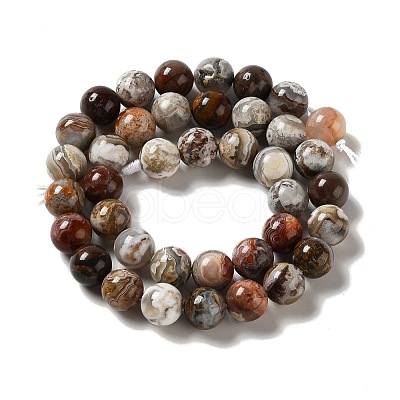 Natural Mexican Lace Agate Beads Strands G-E578-02C-1