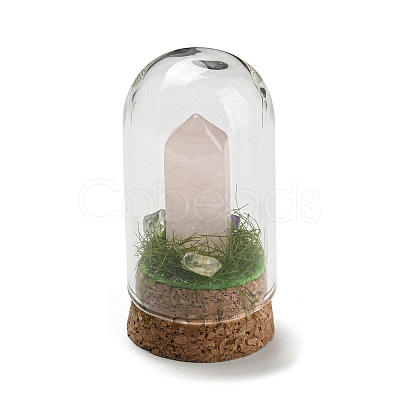 Natural Rose Quartz Bullet Display Decoration with Glass Dome Cloche Cover DJEW-B009-02G-1