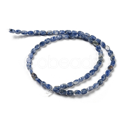 Natural Blue Spot Jasper Beads Strands G-M420-H06-03-1