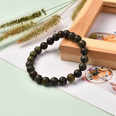 Natural Dragon Blood Jasper Stretch Bracelets for Men Women BJEW-JB06696-1