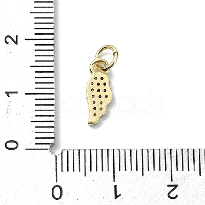 Brass Micro Pave Clear Cubic Zirconia Charms KK-H475-53G-01-1