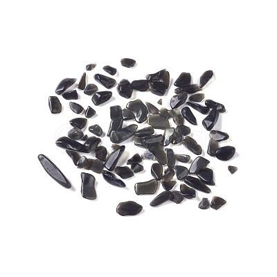 Natural Obsidian Chip Beads G-M364-18A-1