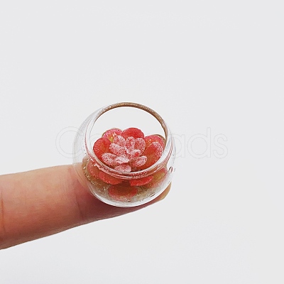 Resin Succulents Pot Model WG98425-06-1