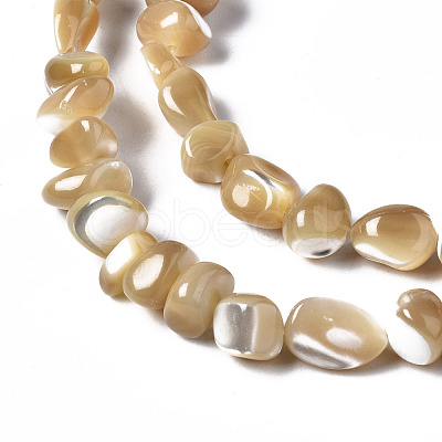 Natural Trochid Shell/Trochus Shell Beads Strands SSHEL-N034-78-B01-1