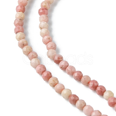 Natural Rhodonite Beads Strands G-F748-U01-02-1