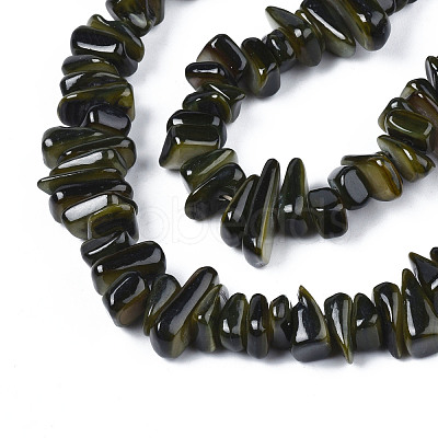 Natural Trochid Shell/Trochus Shell Beads Strands SHEL-S258-080-1