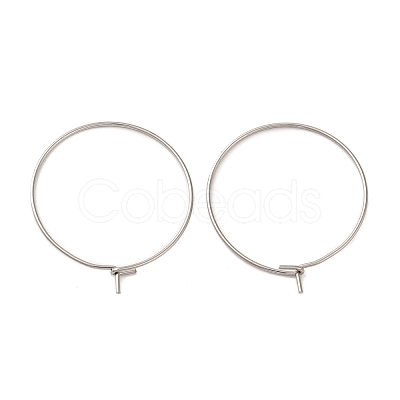 304 Stainless Steel Hoop Earrings Findings STAS-I120-60B-P-1