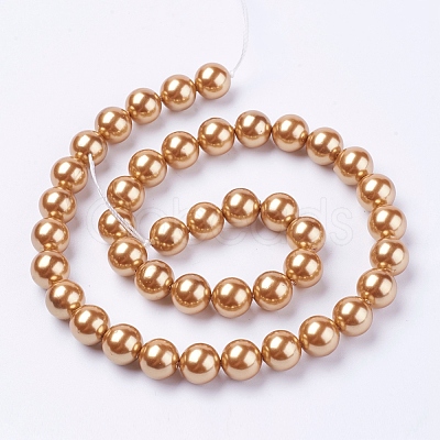 Shell Pearl Beads Strands BSHE-L035-10mm-I02-1