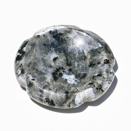 Natural Larvikite Worry Stone for Anxiety PW-WG35396-12-1