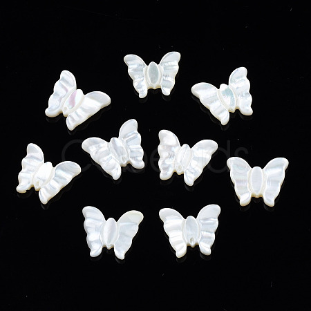 Natural White Shell Beads SSHEL-S258-104-1