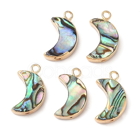 Natural Paua Shell Pendants SHEL-P017-24G-1