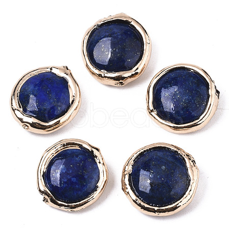 Natural Lapis Lazuli Beads G-S359-111-1