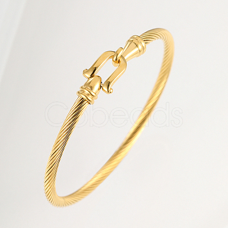 Stainless Steel Bangle QN8266-1