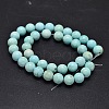 Natural Howlite Beads Strands TURQ-P027-17-6mm-2