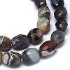 Natural Botswanna Agate Beads Strands G-O173-053-3