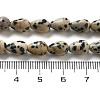 Natural Dalmatian Jasper Beads Strands G-B106-A29-01-5