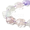 Natural Fluorite Beads Strands G-D475-02A-3