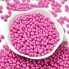 Baking Paint Luster Glass Seed Beads SEED-B001-04A-05-2