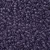 TOHO Round Seed Beads X-SEED-TR11-0019F-2