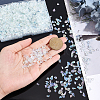   135G Transparent Glass Seed Beads SEED-PH0002-04-3