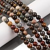 Natural Picture Jasper Beads Strands G-H037-A01-01-2