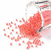11/0 Grade A Transparent Glass Seed Beads X-SEED-N001-E-303-1