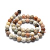 Natural Fossil Coral Beads Strands G-E576-03B-2