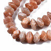 Natural Sunstone Beads Strands G-S376-007-3