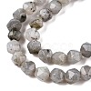 Natural Grey Labradorite Beads Strands G-T138-225-3