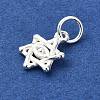 925 Sterling Silver Star of David with Eye Charms STER-M119-11S-2