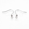 Tarnish Resistant 304 Stainless Steel Earring Hooks STAS-P220-12P-2