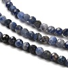 Natural Sodalite Beads Strands G-B107-A03-05-4