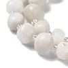 Natural White Moonstone Beads Strands G-Q169-E08-01-4