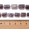 Natural Lepidolite/Purple Mica Stone Beads Strands G-K245-I16-01-5