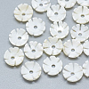 Freshwater Shell Beads SHEL-S275-041-1