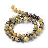 Natural Yellow Turquoise(Jasper) Beads Strands G-R345-8mm-44-2