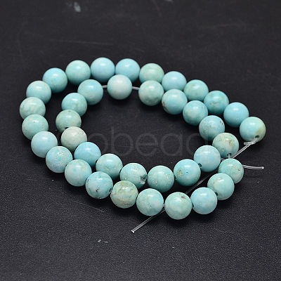 Natural Howlite Beads Strands TURQ-P027-17-6mm-1