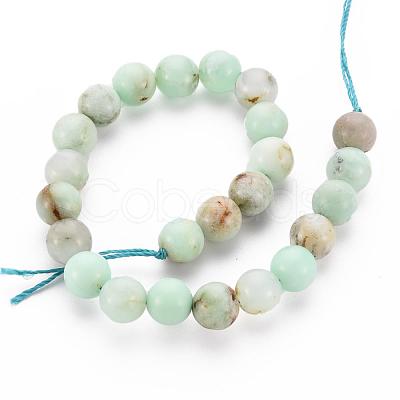 Natural Chrysoprase Beads Strands G-S333-8mm-037-1