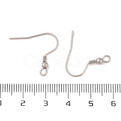 Tarnish Resistant 316 Surgical Stainless Steel Earring Hooks STAS-N106-06P-1