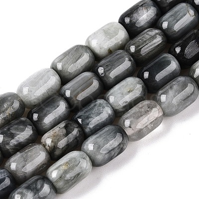 Natural Eagle Eye Stone Beads Strands G-G980-43-1