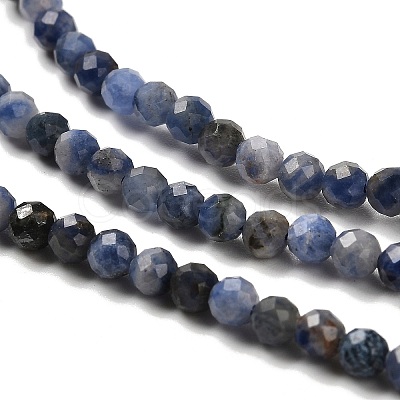 Natural Sodalite Beads Strands G-B107-A03-05-1