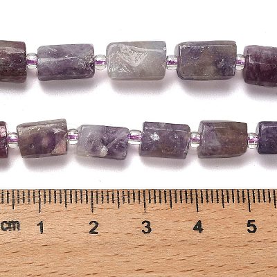 Natural Lepidolite/Purple Mica Stone Beads Strands G-K245-I16-01-1