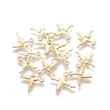 304 Stainless Steel Charms STAS-F159-45G-1