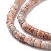 Natural Netstone Beads Strands G-P468-01-4